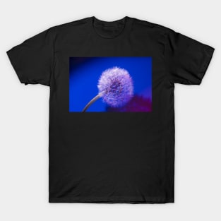 Dandelion in blue T-Shirt